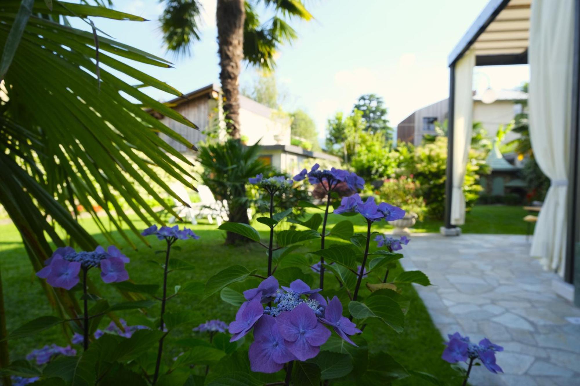 Residenza Laurum Mandello del Lario Exterior foto